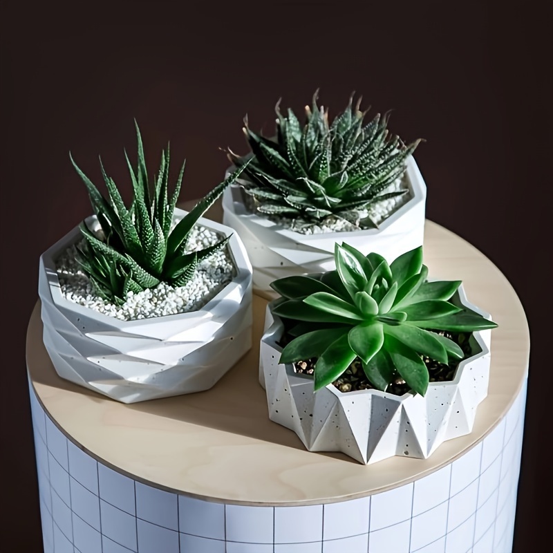 1/2pcs Large Round Irregular S - Potsticker Mold บทวิจารณ์และราคา