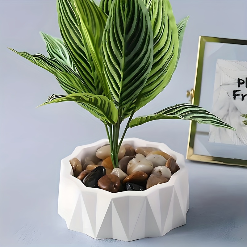 1/2pcs Large Round Irregular S - Potsticker Mold บทวิจารณ์และราคา