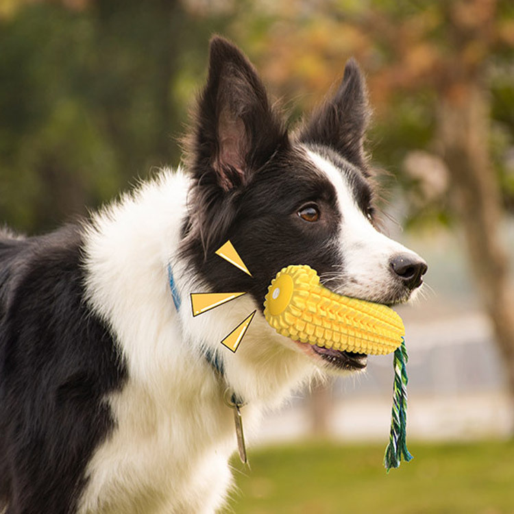 Popular Durable Rubber Corn Do - Corn Dog Stick บทวิจารณ์และราคา