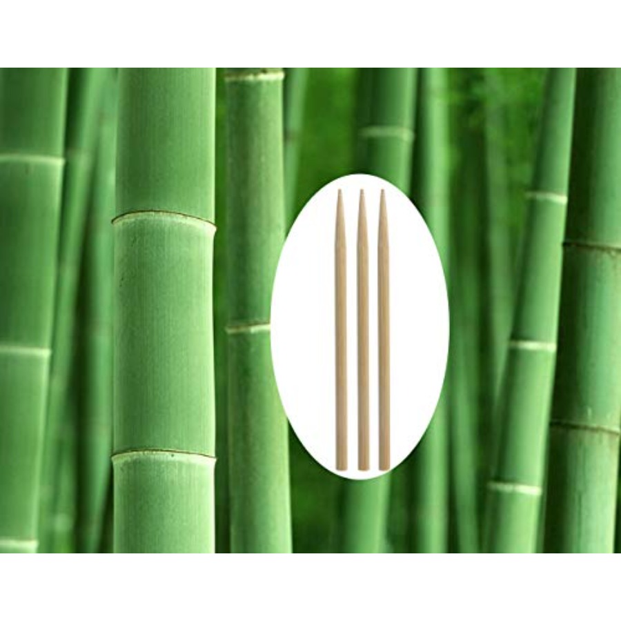 5.5 inch Thick Bamboo Sticks f - Corn Dog Stick บทวิจารณ์และราคา